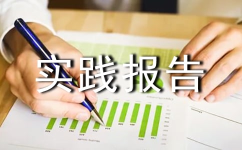 高中生社会实践报告范文