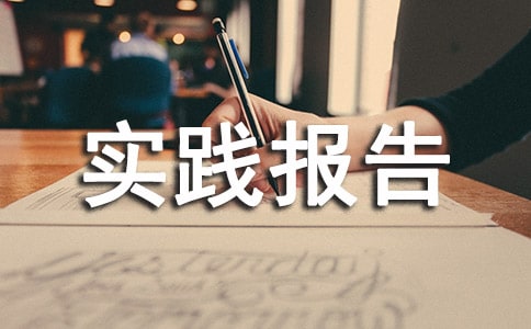 实践报告个人总结
