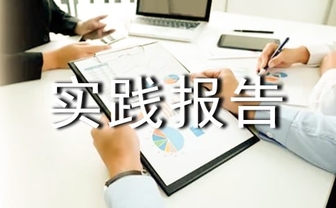 高中生暑假社会实践报告