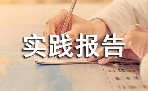 高中生暑假社会实践报告范文