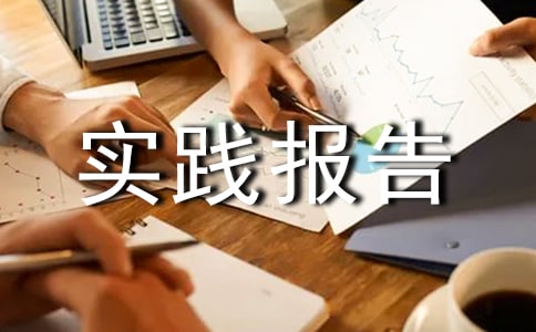 高中生暑假社会实践报告