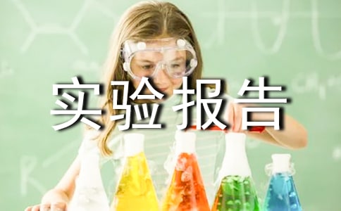 人力资源管理实验报告