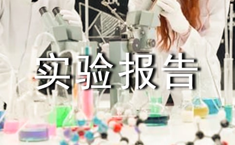 管理信息系统的实验报告