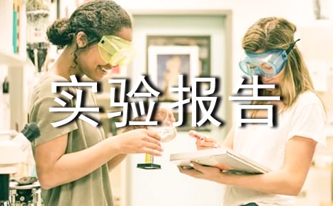 ERPʵ�鱨���ĵ�[����]