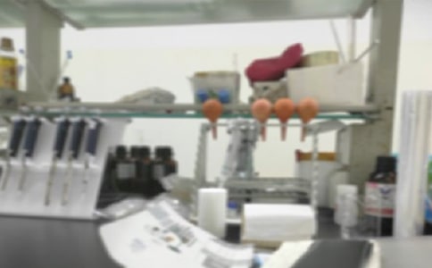 实验室工作档案管理细则