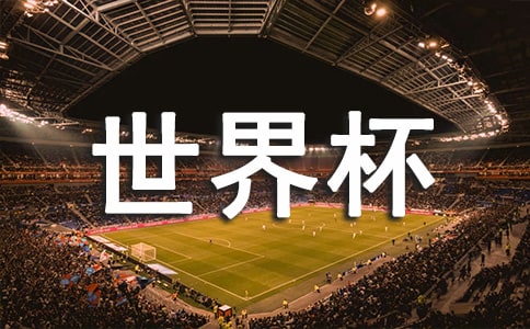 世界杯心得体会