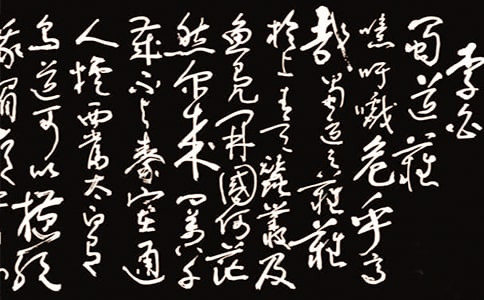 蜀道难读后感(精选21篇)