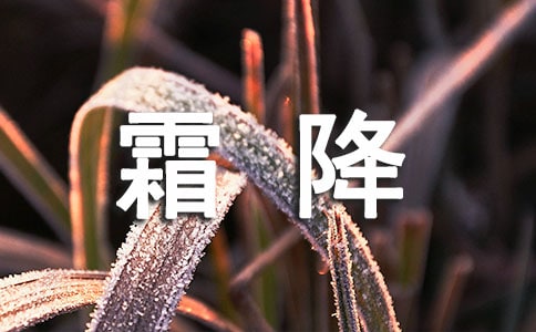 霜降经典语录