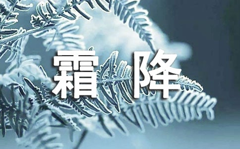 霜降经典语录通用