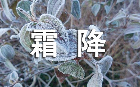 描写霜降经典语录简短