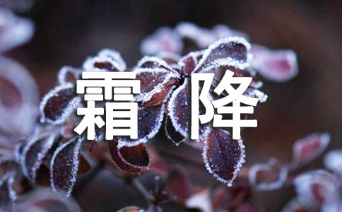 霜降唯美句子(精选540句)