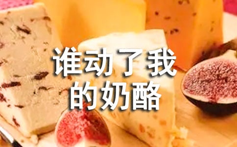 谁动了我的奶酪心得体会15篇
