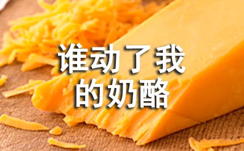 《谁动了我的奶酪》读后感集合(15篇)