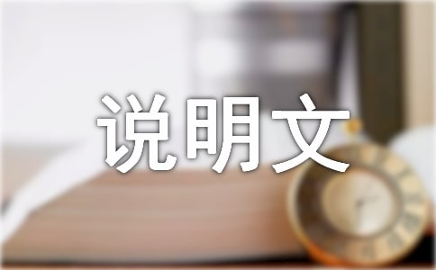 说明文题目具有什么作用