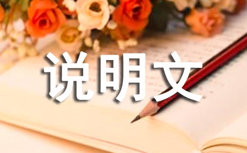 我的生活少不了它说明文(精选25篇)