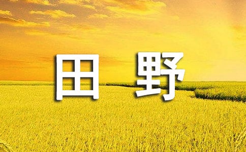 我们的田野教案