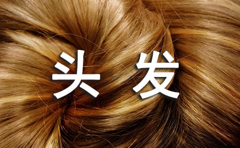 能使头发变黑的食物介绍
