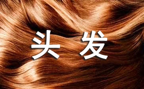 头发玫瑰花的编法图解