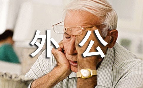 户外公园亲子活动方案