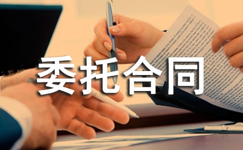 前期物业管理委托合同