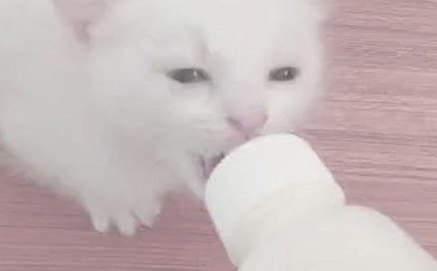 夜间给宝宝喂奶的方法