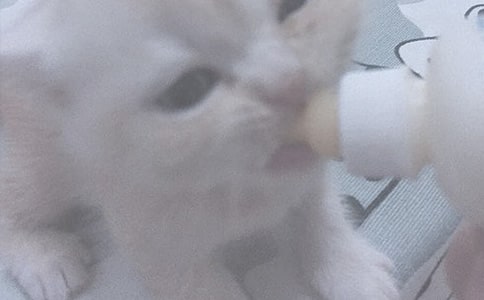 用奶瓶给宝宝喂奶的方法
