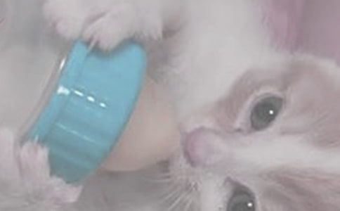 ��ô��ȷ�ĵ�������ҹ��ι��ʱ��