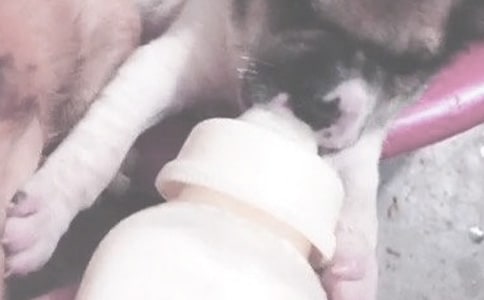 宝宝喂奶时该怎么抱