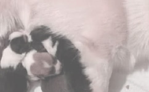 ι���ڼ��ʲô��ˮ��