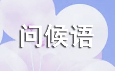 ���Ϻ�΢���ʺ���15ƪ