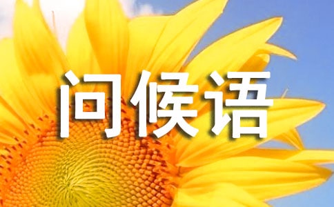 �����ʺ���