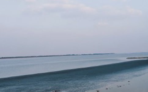 《我们看海去》读后感