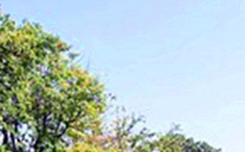 关于暖心午安寄语(精选70句)