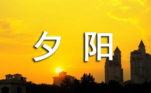 独坐夕阳里阅读答案