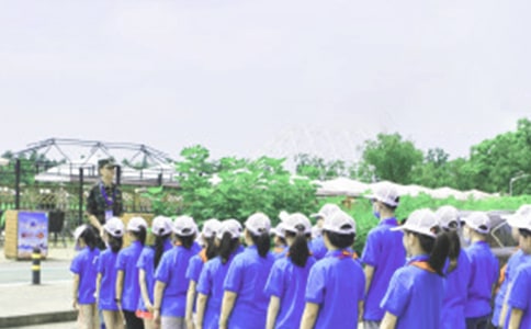 夏令营活动总结