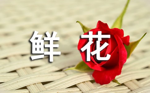 鲜花瓣书签的制作方法