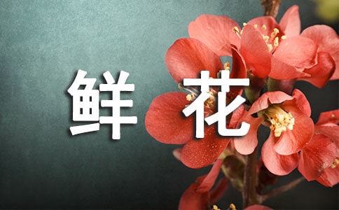 关于小班鲜花教案