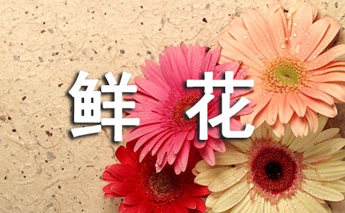 如何用鲜花制作漂亮的干花图解
