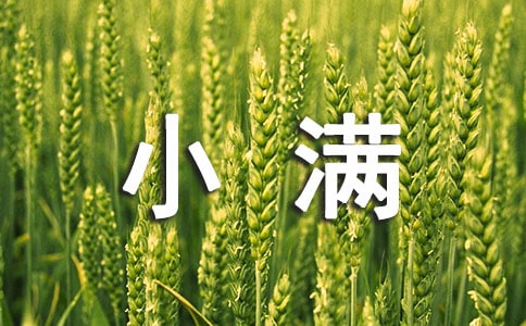 С��ʱ�ڱسԵ�ʳ��