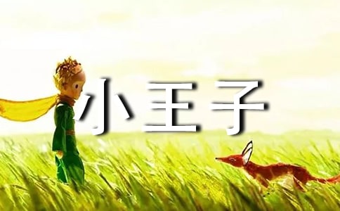 ����С���ӡ��и�