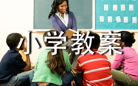 小学教案检查总结