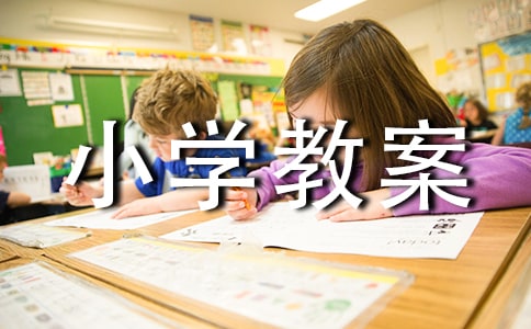 小学教案与作业设计