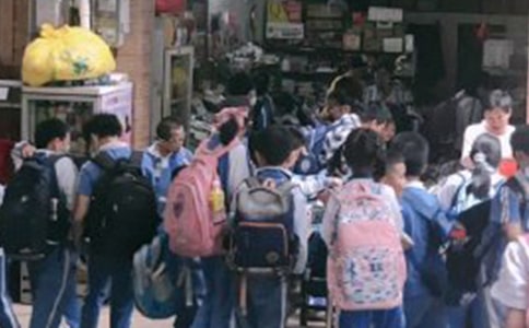 【推荐】小学生科普作文4篇