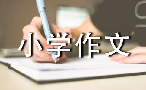 旅游景点小学作文(集合13篇)