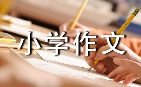 旅游景点小学作文集锦13篇