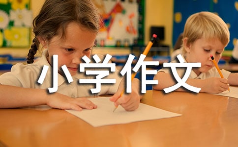 小学作文评语大全