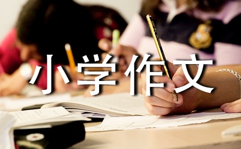旅游景点小学作文(13篇)