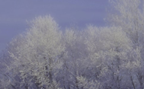 小雪节气的教案