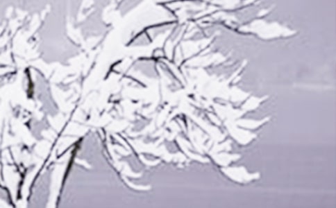 小雪时节问候语句大全