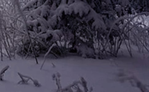 二十四节气小雪科学教案范文(精选7篇)